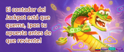 Programa Referidos Fijatop promotion